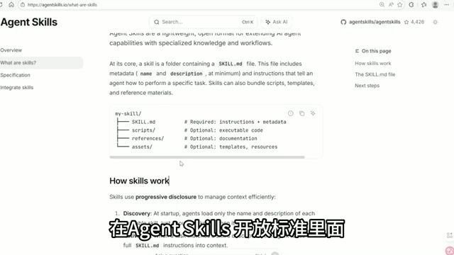 Agent Skills 推荐的资源层目录结构