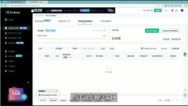 住宅代理后台配置界面